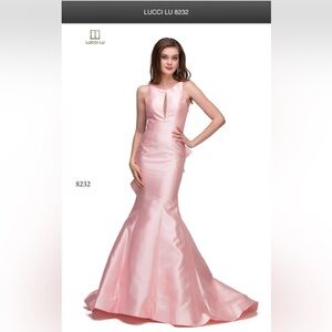 Lucci Lu Gown Size 4